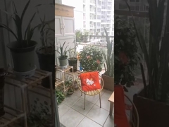 316 গ্রেড স্টেইনলেস স্টিল ক্লিপ ক্রসিং নিরাপত্তা সহ, যা অদৃশ্য বারান্দা গ্রিলের জন্য ব্যবহৃত হয়