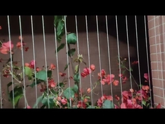 ব্যালকনি অদৃশ্য গ্রিল শিশু সুরক্ষা 316 স্টেইনলেস স্টীল