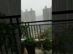 Home অদৃশ্য স্থির নিরাপত্তা গ্রিলস শিশু ও পোষা প্রাণীর নিরাপত্তার জন্য অ্যান্টি-রস্ট ওয়্যার