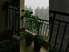 100 কেজি ধারণক্ষমতার সঙ্গে অবাধে দৃশ্য ব্যালকনি গ্রিজ ব্যালকনি অদৃশ্য গ্রিজ