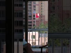 ৩১৬ স্টেইনলেস স্টীল ইনভিশিবল গ্রিল ব্যালকন