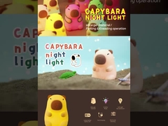 মিষ্টি নাইট লাইট ল্যাম্প