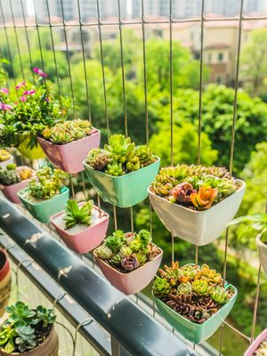 2.0 মিমি 316 স্টেইনলেস স্টীল তার উচ্চ উচ্চ বিল্ডিং বারকনি / উইন্ডো অদৃশ্য নিরাপত্তা গ্রিলে