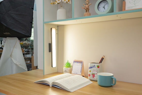 বিস্তারিত পরিদর্শন এবং নিশ্চয়তা কাজের জন্য 3000-6500K কালার টেম্পারেচার সহ ম্যাগনেটিক অ্যাট্রাকশন ল্যাম্প